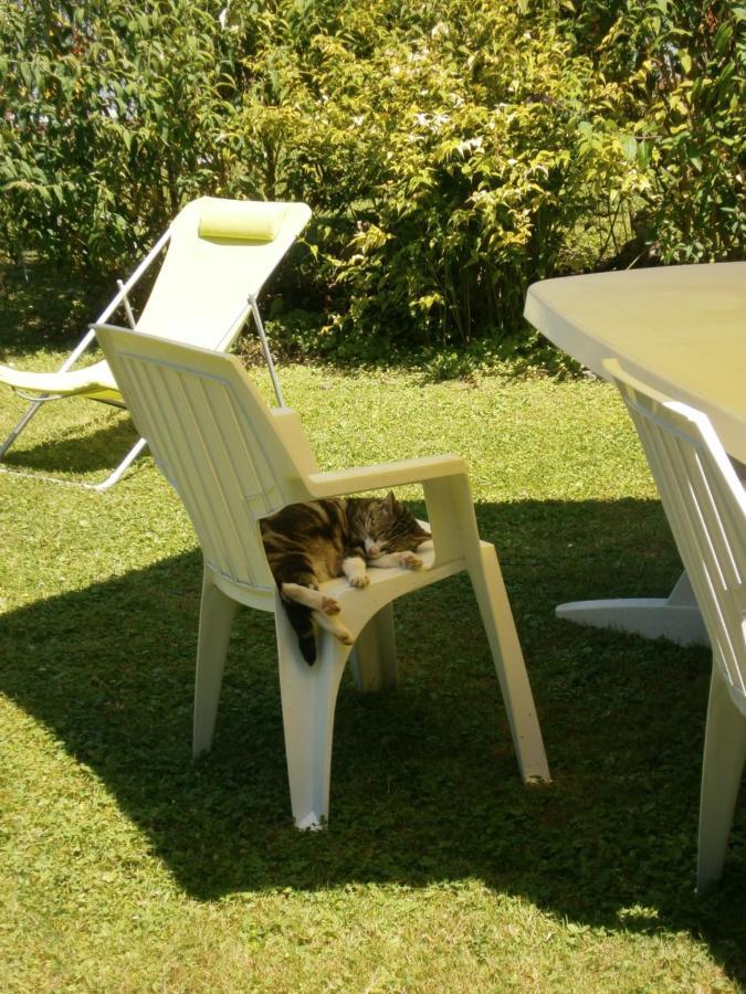 Aux Sources De L'Ancre Bed & Breakfast Miraumont Exterior foto